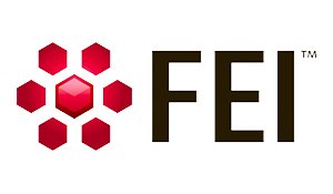 FEI 300 x 175